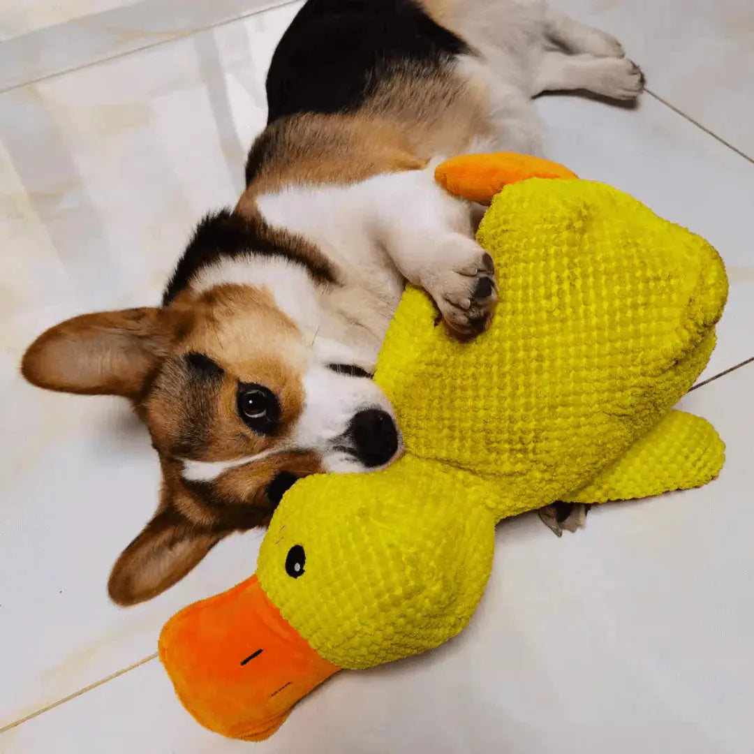 Calming Duck Yay Pets