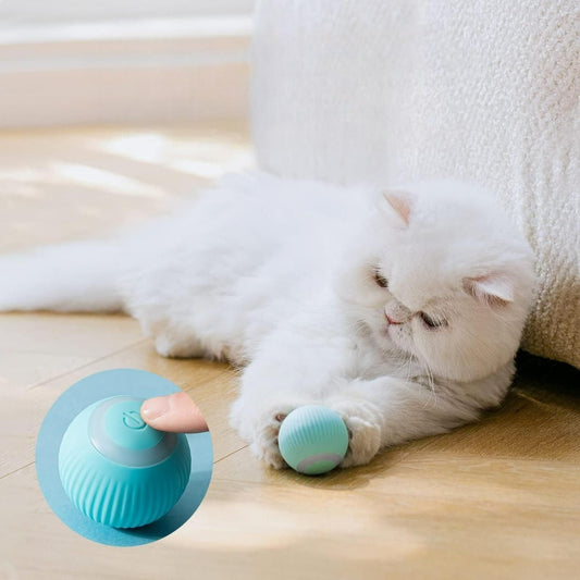Rotating Cat Toy Ball