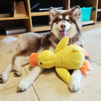 Calming Duck Yay Pets