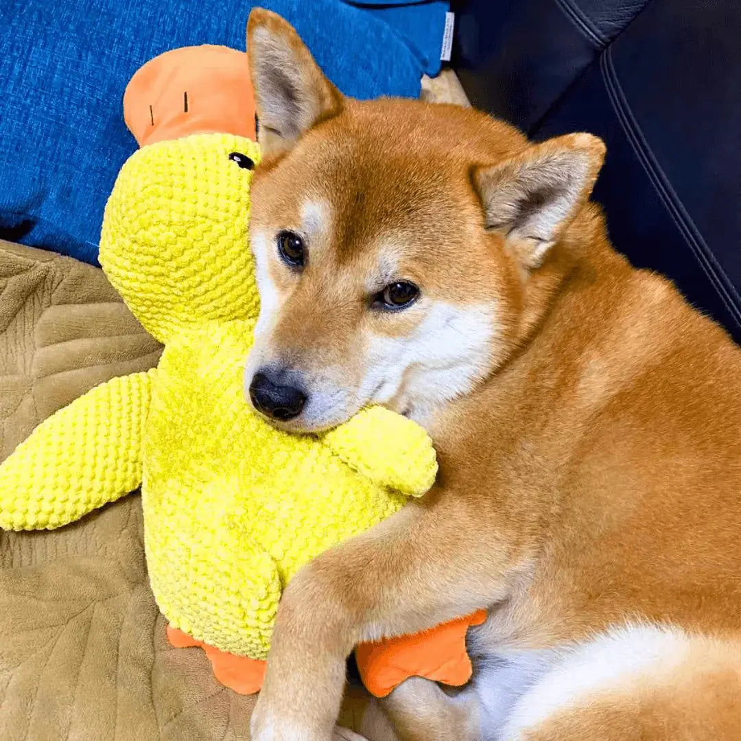 Calming Duck Yay Pets